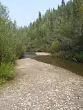 Discovery Claim at Bonanza Creek