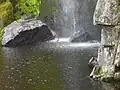 Lagoon