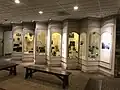 Displays at the medical museum