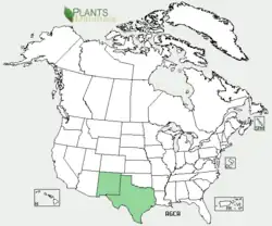 Distribution of Agastache cana
