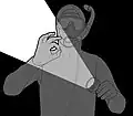 light used to illuminate hand signal[44]