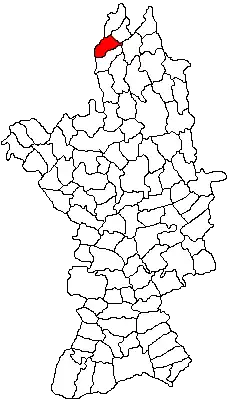 Location in Olt County