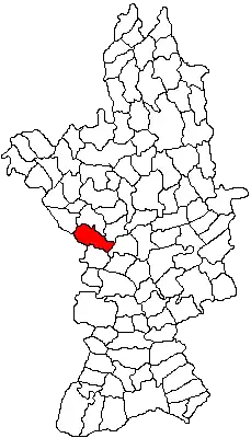 Location in Olt County