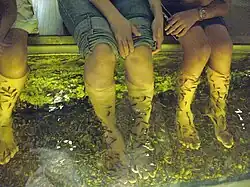 Some spas provide large fish ponds with thousands of doctor fish in them.