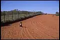 Hungerford, Queensland.