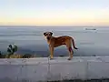 Novorossiysk