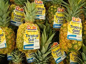 Tropical Gold cultivar