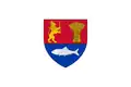 Flag of Dolj County