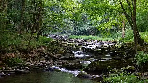 A branch of Red Creek
