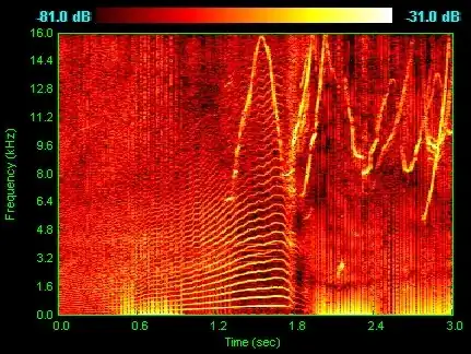 Spectrogram of dolphin vocalizations; chirps, clicks and harmonizing are visible as inverted Vs, vertical lines and horizontal striations respectively.