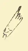 hand drawn hand and cuff