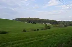 Fields southwest of Chicora
