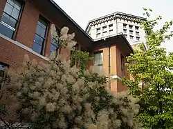 Eikoukan, Imadegawa campus