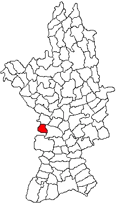 Location in Olt County