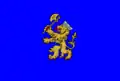 Flag of Hîncești