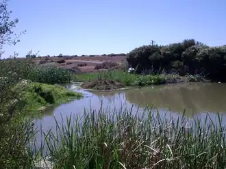 Barker Inlet wetlands at Dry Creek