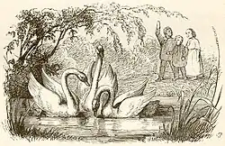 Vilhelm Pedersen illustration for "Ugly Duckling" in public domain.