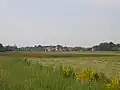 Duizel