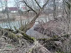 Mouth of the Dukiełka into the Jasiołka&nbsp;[pl]