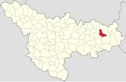 Location in Timiș County