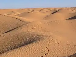 Landscape of the sand dune 'seas' of the Grand Erg Oriental. Other areas are hard pressed gravel. There are also settlements, and oil and gas extraction zones.