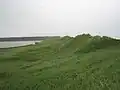 Dunes at Cavendish Beach