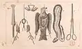 Preparation of specimens