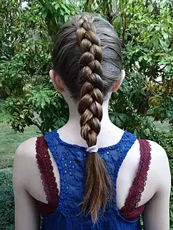 A Dutch braid, otherwise known as an inverted French braid. The braid is above the hair instead of beneath it like normal French braids.