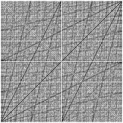 Dyadic transformationxy plot where x&nbsp;=&nbsp;x0&nbsp;∈&nbsp;[0, 1] is rational and y&nbsp;=&nbsp;xn for all&nbsp;n
