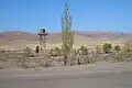 On the Kazakh border