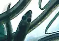 The little tube extending from the nose is visible