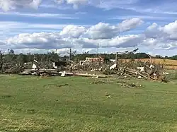 Image 40Denuded trees and EF3 damage to a home near Elk Mound, Wisconsin. (from Tornadoes of 2019)
