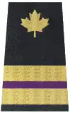 Engineer, purple