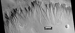 Gullies on wall of crater, as seen by HiRISE under HiWish program Location is the Mare Acidalium quadrangle.