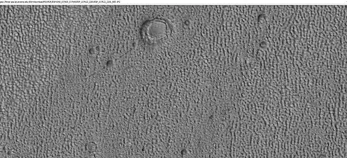 Ring mold craters of various sizes on floor of a crater, as seen by HiRISE under HiWish program Location is Ismenius Lacus quadrangle.