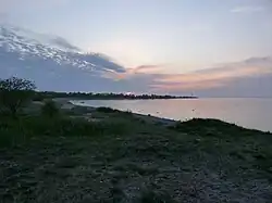 The shoreline on the northeastern side of Paljassaare