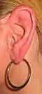 Left human auricle