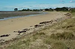 East Wynyard Beach