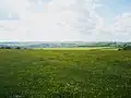 Eastbury Down, Eastbury