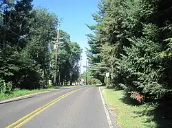 Bridge Road in Eayrestown