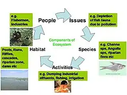 How to alter certain biological interactions in order to optimise survival of the system