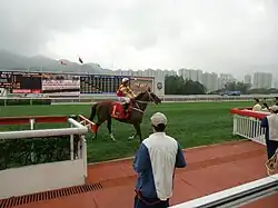 Egyptian Ra rided by Felix Coetzee, Queen's Silver Jubilee Cup