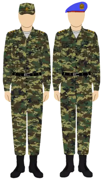 Egyptian Republican Guard digital camouflage uniform