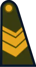 Sargento (Argentine Army)[50]