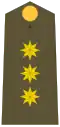 Coronel