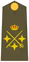 Teniente General