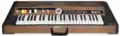 EKO Tiger combo organ[2]