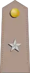Sub-lieutenant