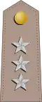 Captain