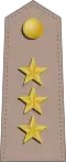 Colonel